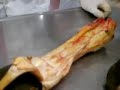 Anatomia Veterinaria - Tendones y escudos de la mano Anatomia Veterinaria - Tendones y escudos de la mano