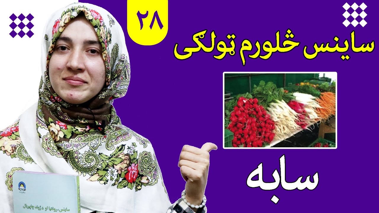 LESSON 28 _ Grade 4 SCIENCE / لوست ۲۸ـ د ساینس مضمون ـ څلورم ټولګی