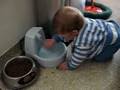 River discovers the cat's water dish