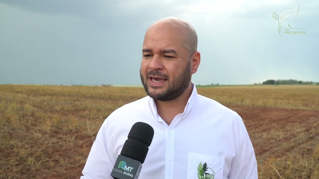 Pesquisa propõe mudar período de adubação em áreas com sistemas integrados | MT Sustentável ep. 91