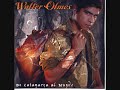 walter olmos - flor de papel