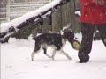 ２００９年１２月２０日　訓練所１.wmv