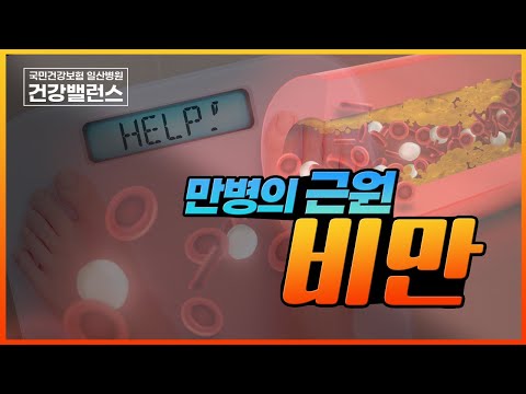 [건강밸런스] 만병의 근원! 비만!