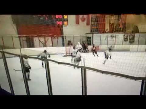 3v5 Shorty - Silver Sticks  Michigan 2023