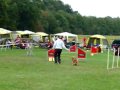 Mistrovství České repibliky v Agility 2009 - Žamberk -Aemi