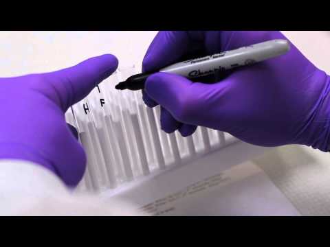 how to measure gfr with inulin