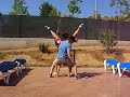 SaBa PoWeR II: SaBa GaYs 4eVeR ! ! !