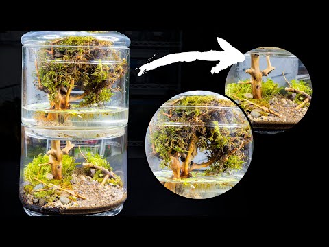 YouTube reptile video