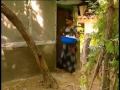 A mushrooming enterprise, Matara