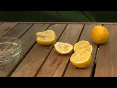 how to grow citrus from seeds