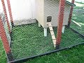 Chicken coop is finally done Chicken coop is finally done