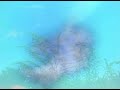 Kassovitz - Helena-Waltz for 2 flute and piano Kassovitz - Helena-Waltz for 2 flute and piano