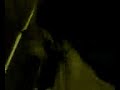 sasquach jerkin his gerkin