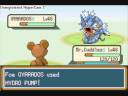Teddiursa low level solo run - Rival in viridian