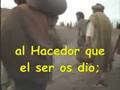 videos de cantad alegre al señor