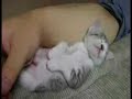 Wahnsinnig muede / Tired