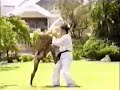 Muay Thai flying knee Muay Thai flying knee