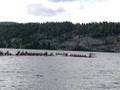 videos de VC Vikings Paddle to Victory