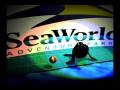 videos de salty.avi