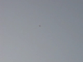 Southwest Airlines flyby