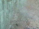 Petroglyph Walk