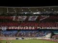 O MOSAICO RUBRO NEGRO!!!