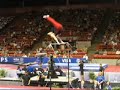 2008 Visa Gymnastics Championships