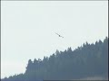 Der Flug des Bussards Der Flug des Bussards