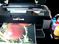 InkRepublic R2880 Continuous Ink System in action! InkRepublic R2880 Continuous Ink System in action!