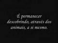 Ser veterinário