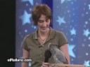Amazing Parrot! Amazing Parrot!
