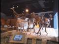 Indiana-State-Museum