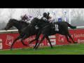 videos de Renntag Bremen (30.11.2008)