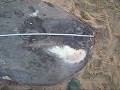videos de Ocean Sunfish Examination.wmv