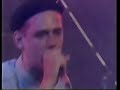 CURIOSITY KILLED THE CAT LIVE (PART2) EASY