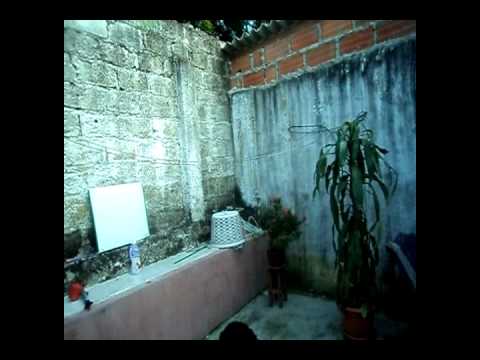 MUSICOLOGO LIVE PART 2 -