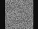 joes-new-friend.html