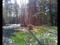 atv crash