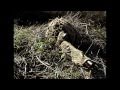 WolFilm - Wargame Arena Team documentario SOFTAIR COSENZA - Parte 1 \ 4