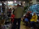 Gezellige clubwandeling met papegaaien.