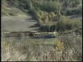 LOCOMOTORE STRANO AL TRANSITO ALLA STAZIONE DI SAVIGNANO-GRECI.avi