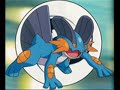 swampert tribute