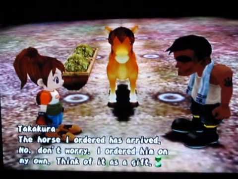 how to marry gustafa harvest moon