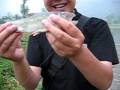 videos de 2008.6.14日门头沟大马口23CM