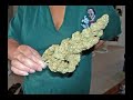 Hemp For Victory