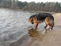 Gildo Wierny Druh i ton?ca pi?ka Gildo Wierny Druh i ton?ca pi?ka