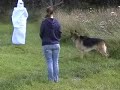 Mentalbeskrivning