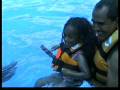 videos de SWIMMING WITH THE DOLPHIN PUERTO VALLARTA