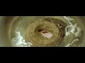 Chinese man – Get Up