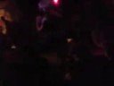 Pasha Ibiza von MY FILM